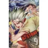 Dr. Stone Vol. 9