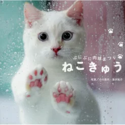 Cat Paw: Puni Puni Cat Paw Festival