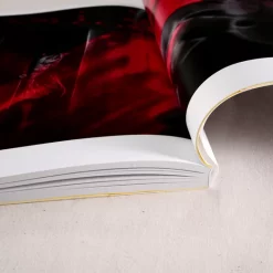 Find KEI Artworks 13 Find KEI Artworks -Books Sales Store b6b3776c78de4562b55c8e145cb69fdb.jpg