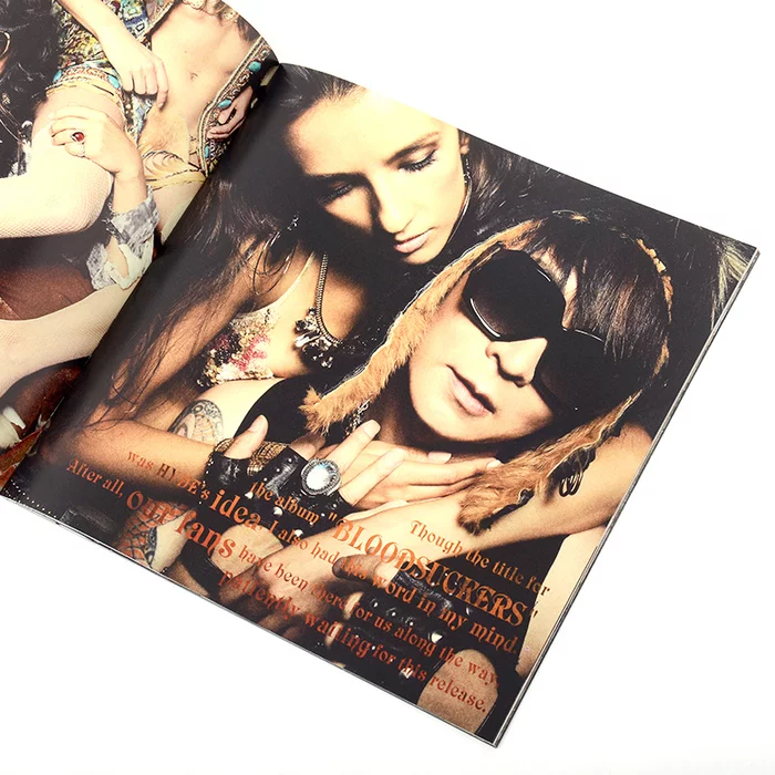 VAMPS Bloodsuckers 2015 Live Tour Official Pamphlet 7 VAMPS Bloodsuckers 2015 Live Tour Official Pamphlet - Image 5