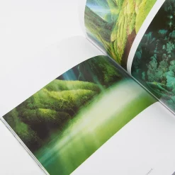 Oga Kazuo Animation Artwork: Studio Ghibli Artworks -Books Sales Store bd5f4bd6baaf4f74a9a34807aafb107c.jpg