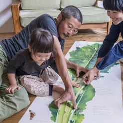 Big Book 2: The Giant Turnip -Books Sales Store c366f3ce787041e8a838fe95da34b6d6.jpg