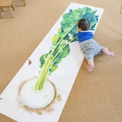 Big Book 2: The Giant Turnip -Books Sales Store c6d53b35265943ca9f37729b145292f2.jpg