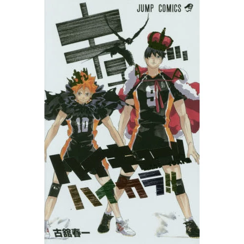 HaiColor!!: Haikyu!! Color Illustration Collection 3 HaiColor!!: Haikyu!! Color Illustration Collection