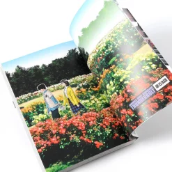 Mobile Suit Gundam Thunderbolt Vol. 7 Special Edition 23 Mobile Suit Gundam Thunderbolt Vol. 7 Special Edition -Books Sales Store d7477ecb39454ca9940caea203234424.jpg