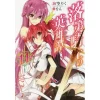 Chivalry Of A Failed Knight Vol. 11 (Light Novel)