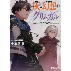 Grimgar Of Fantasy And Ash Vol. 14 (Light Novel)