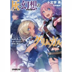 Grimgar Of Fantasy And Ash Vol. 6 (Light Novel)