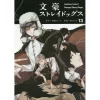 Bungo Stray Dogs Vol. 13