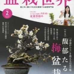Bonsai World February 2016