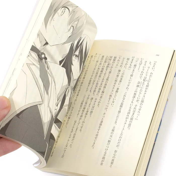 Undefeated Bahamut Chronicle Vol. 9 (Light Novel) Limited Edition W/ Booklet 10 Undefeated Bahamut Chronicle Vol. 9 (Light Novel) Limited Edition W/ Booklet - Image 8