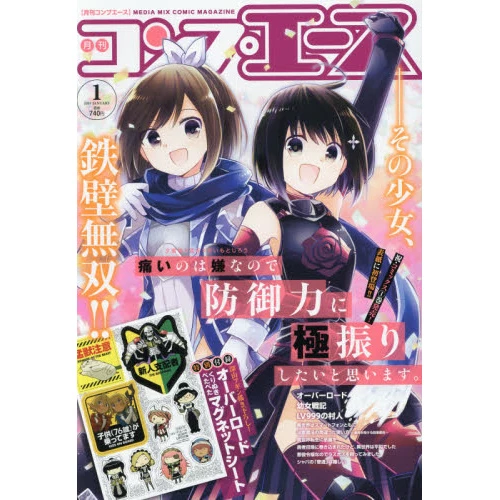 Monthly Comp Ace January 2019 3 Monthly Comp Ace January 2019