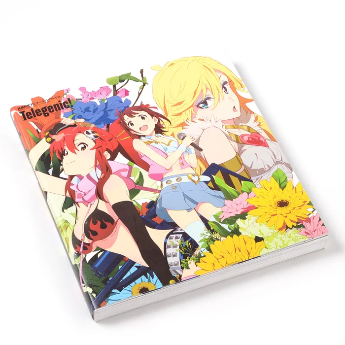 Ichijinsha Atsushi Nishigori Animation Works 3 Ichijinsha Atsushi Nishigori Animation Works