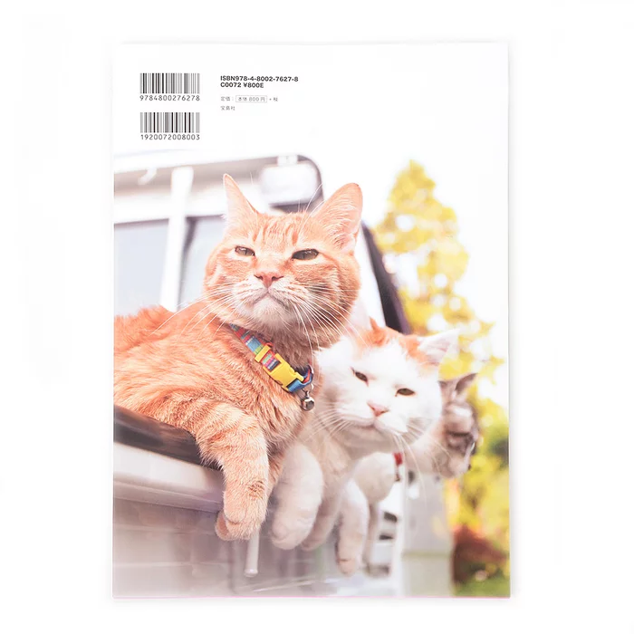 Noseneko Big 9 Noseneko Big - Image 7